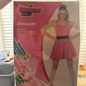 Blossom Powderpuff Costume